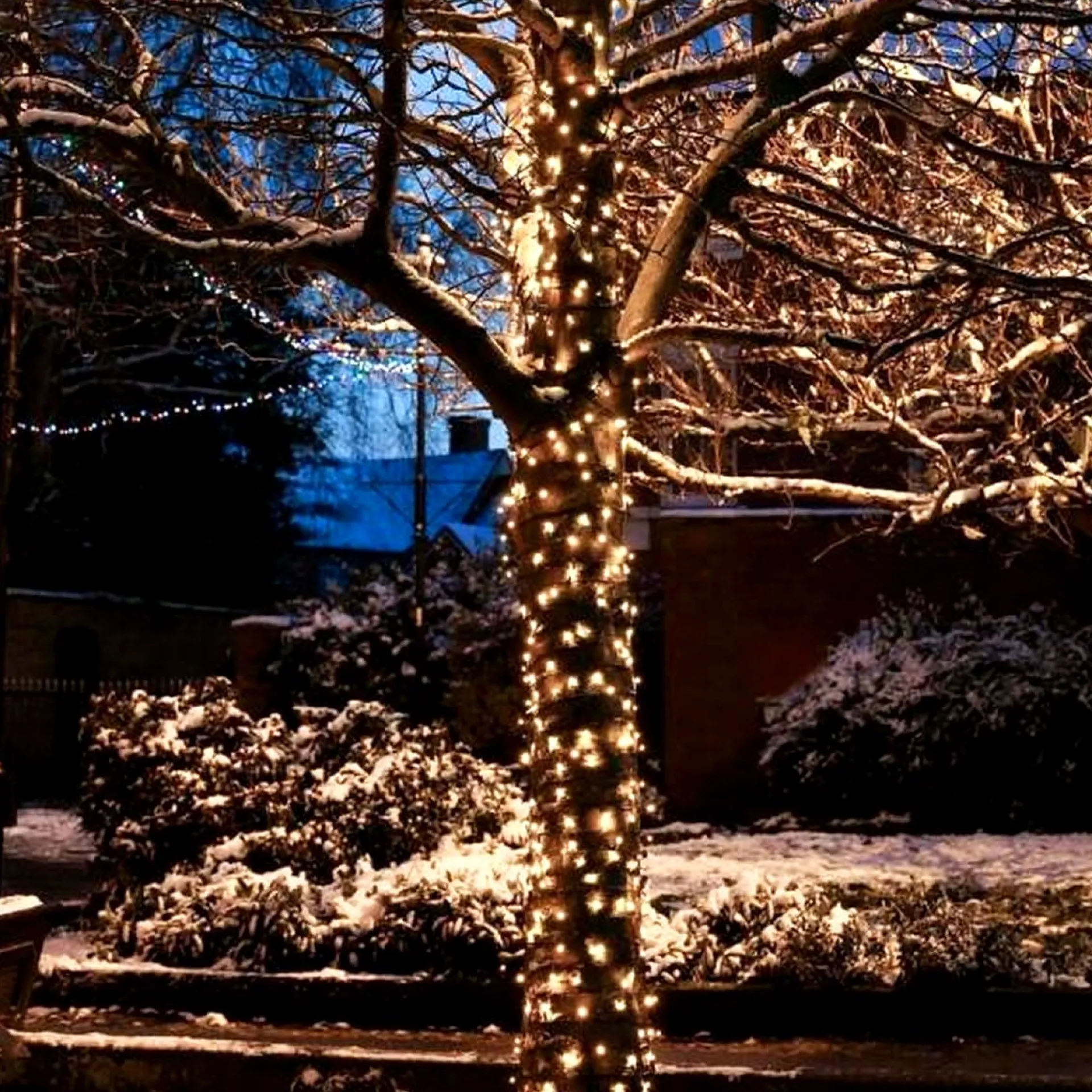 Solistech Led Kerstverlichting Buiten - 90M - Verlengbaar (T/M 120M) - 900 Lichtpuntjes - Ip44 Waterbestendig - Warmwit 2700K - Donkergroene Kabel - Kerst Verlichting Voor Binnen En Buiten - Zeer Energiezuinig 10,8W Sale