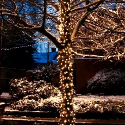 Solistech Led Kerstverlichting Buiten - 120M - 1200 Lichtpuntjes - Ip44 Waterbestendig - Warmwit 2700K - Donkergroene Kabel - Kerst Verlichting Voor Binnen En Buiten - Zeer Energiezuinig 14,4W Cheap