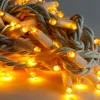 Solistech Led Kerstverlichting Eter Koppelbaar - 100 Lichtpuntjes - Ip65 Waterdicht - Warm Wit 2700K - Hoogwaardige Rubberen Kabel - Energiezuinig 6W - Incl. Stekker 10 M Discount