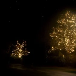 Solistech Led Kerstverlichting Eter Koppelbaar - 50 Lichtpuntjes - Ip65 Waterdicht - Warm Wit 2700K - Hoogwaardige Rubberen Kabel - Energiezuinig 3W - Incl. Stekker 5 M Best