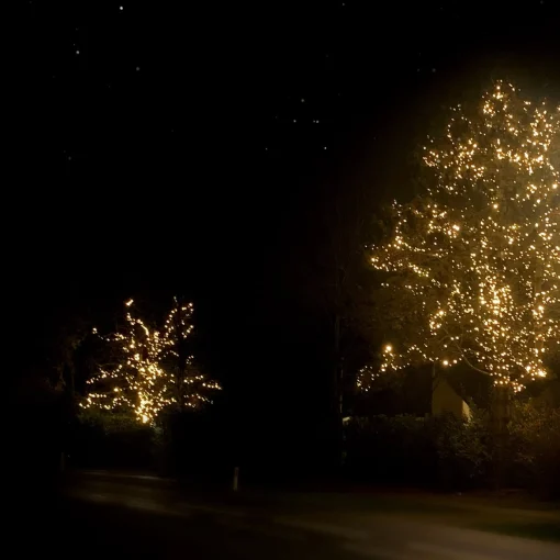 Solistech Led Kerstverlichting Eter Koppelbaar - 50 Lichtpuntjes - Ip65 Waterdicht - Warm Wit 2700K - Hoogwaardige Rubberen Kabel - Energiezuinig 3W - Incl. Stekker 5 M Best