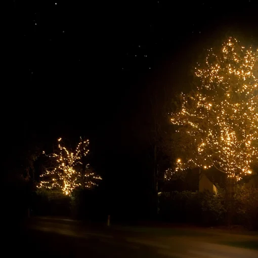 Solistech Led Kerstverlichting Eter Koppelbaar - 500 Lichtpuntjes - Ip65 Waterdicht - Extra Warm Wit 2200K - Hoogwaardige Rubberen Kabel - Energiezuinig 30W - Incl. Stekker 50 M Discount