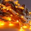 Solistech Led Kerstverlichting Eter Koppelbaar - 50 Lichtpuntjes - Ip65 Waterdicht - Extra Warm Wit 2200K - Hoogwaardige Rubberen Kabel - Energiezuinig 3W - Incl. Stekker 5 M Sale