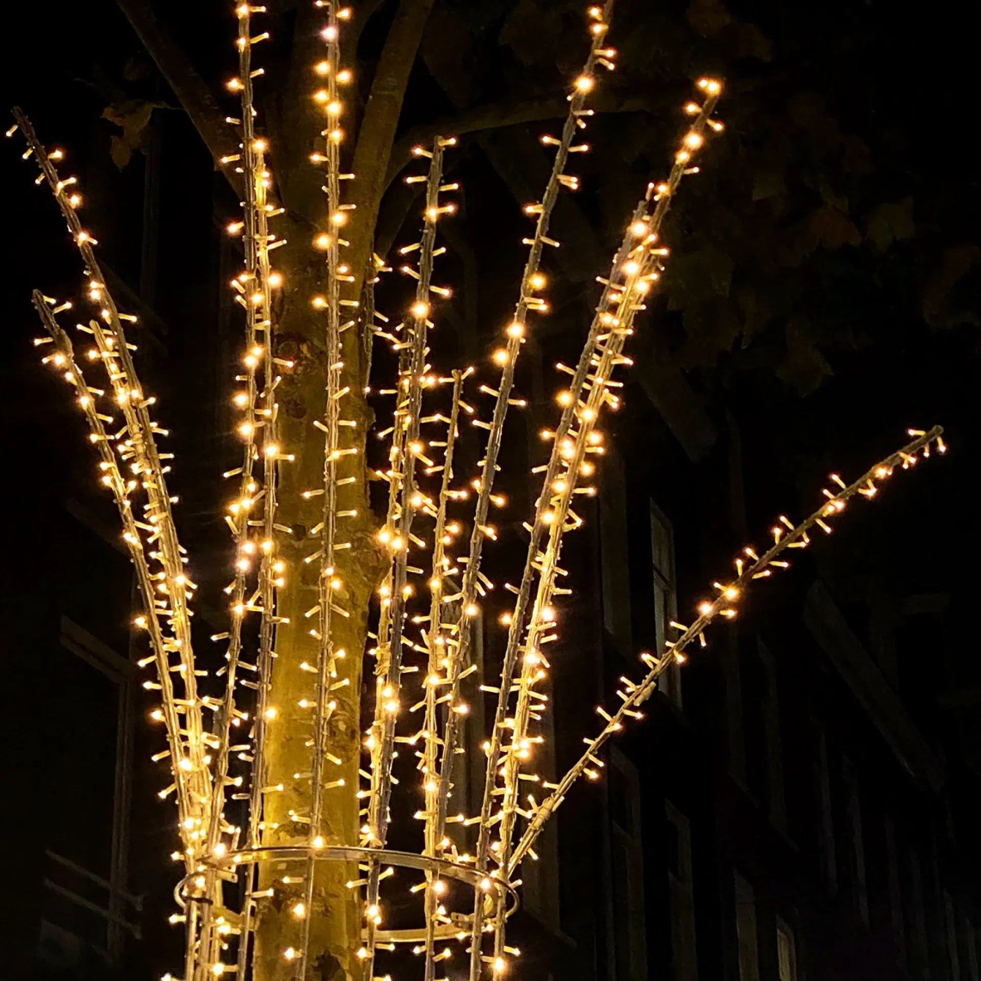 Solistech Led Kerstverlichting Eter Koppelbaar - 200 Lichtpuntjes - Ip65 Waterdicht - Extra Warm Wit 2200K - Hoogwaardige Rubberen Kabel - Energiezuinig 12W - Incl. Stekker 20 M Cheap