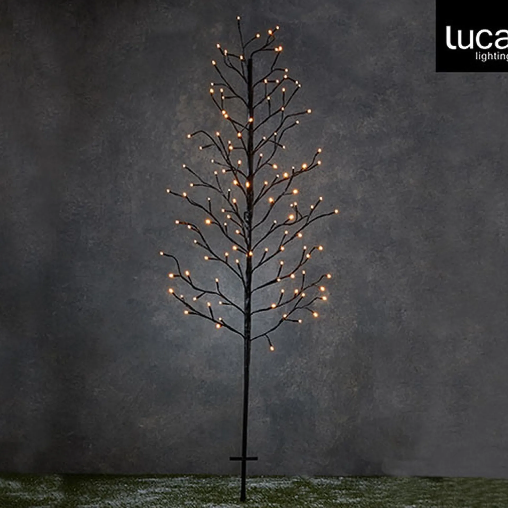Luca lighting - Garden D''Light Tak Boom Zwart Warm Wit 118Led Ip44 8 Function Controller En Timer - L80Xh150Cm - Woonaccessoires En Seizoensgebondendecoratie (Europese Stekker ) Flash Sale