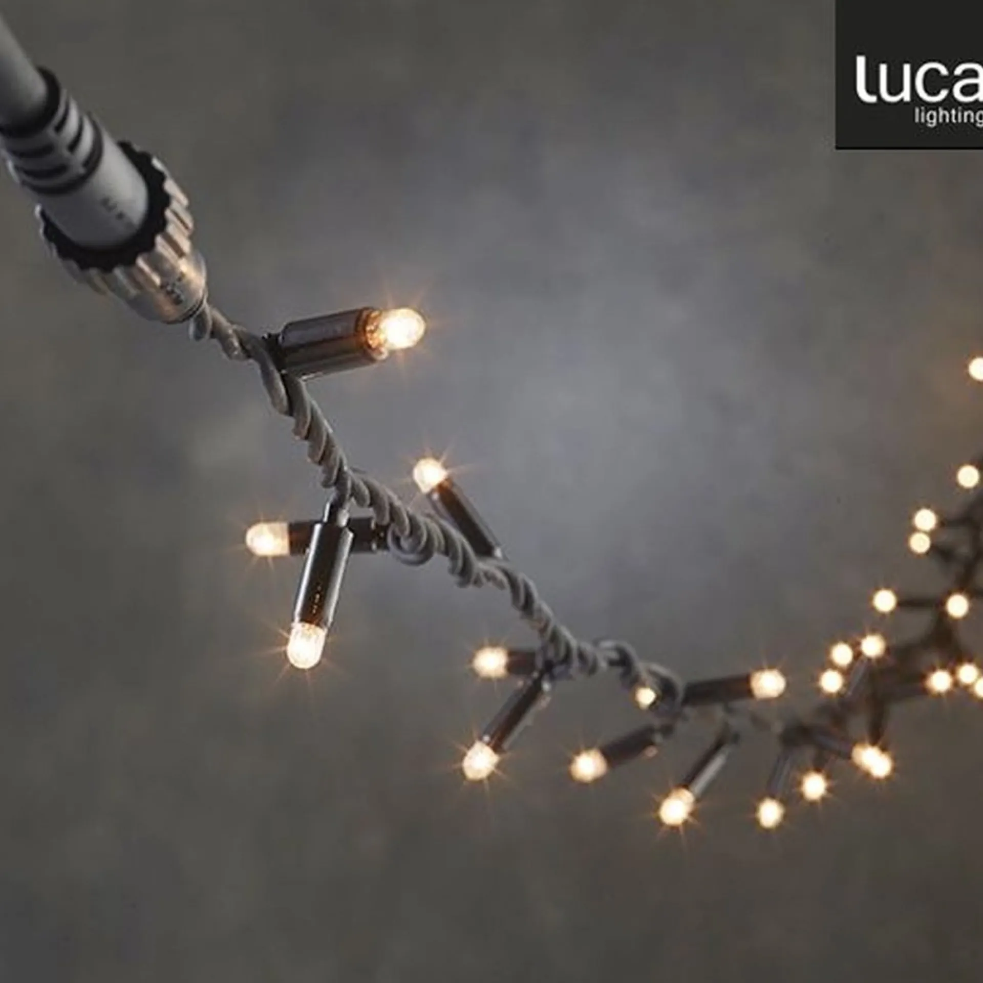 Luca lighting Connect Xp Lichtsnoer Met 50 Led Lampjes - L500 Cm - Helder Wit Store