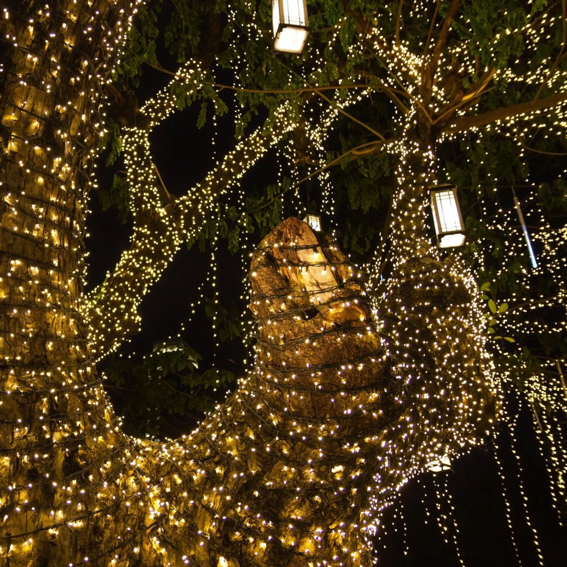 lumisky Yogi Solar Warm - Oplaadbaar Solar Lichtsnoer - 39.9 M Discount