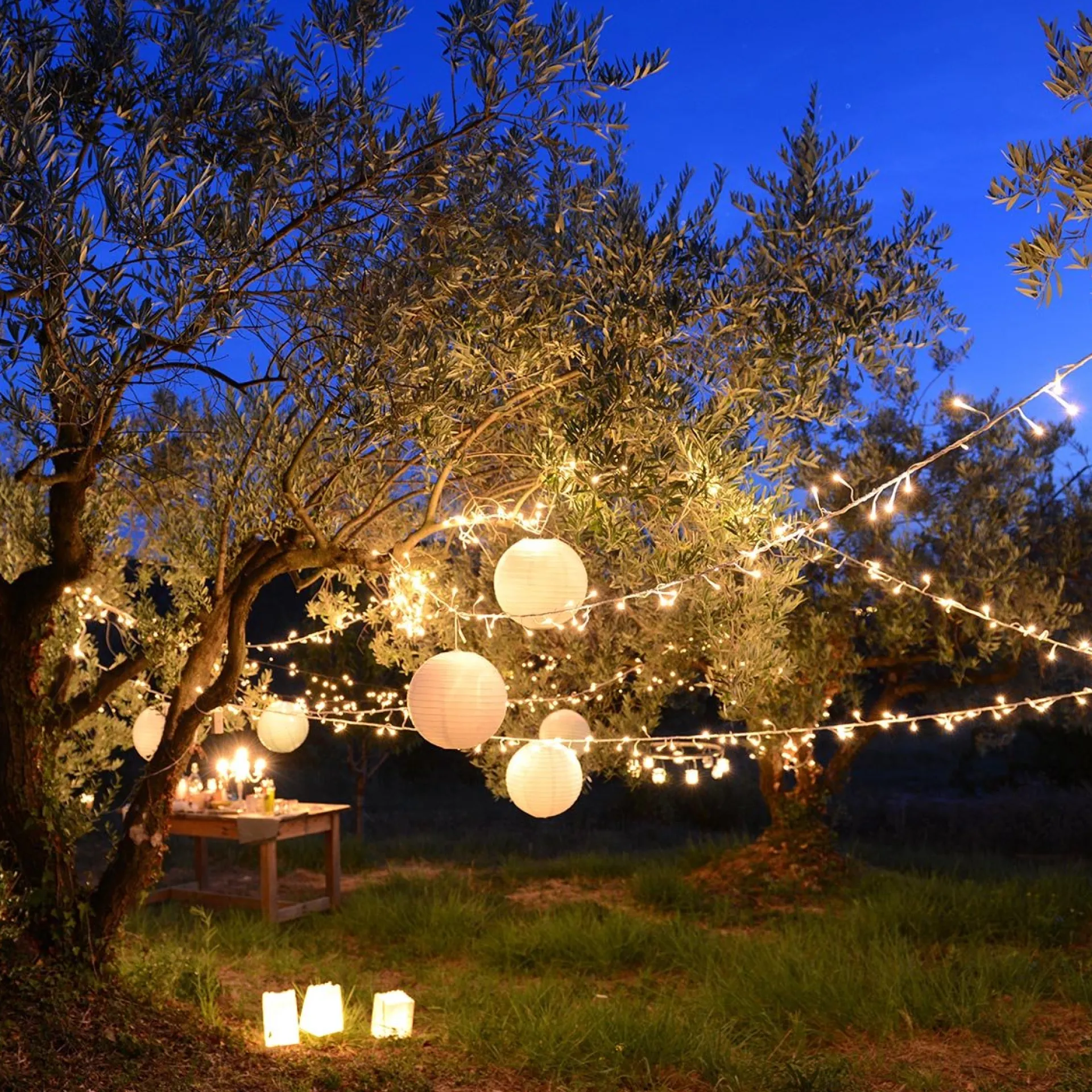 lumisky Yogi Solar Warm - Oplaadbaar Solar Lichtsnoer - 39.9 M Discount