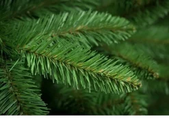 LEAN TOYS Luxe Diamond Kunstkerstboom 150 Cm Natuurspar - Zeer Dicht Takkenstelsel - Eenvoudige Opbouw Zonder Gereedschap - Onderhoudsvriendelijk En Herbruikbaar - Kunststof Spar Kerstboom - Natuurlijke Uitstraling Discount