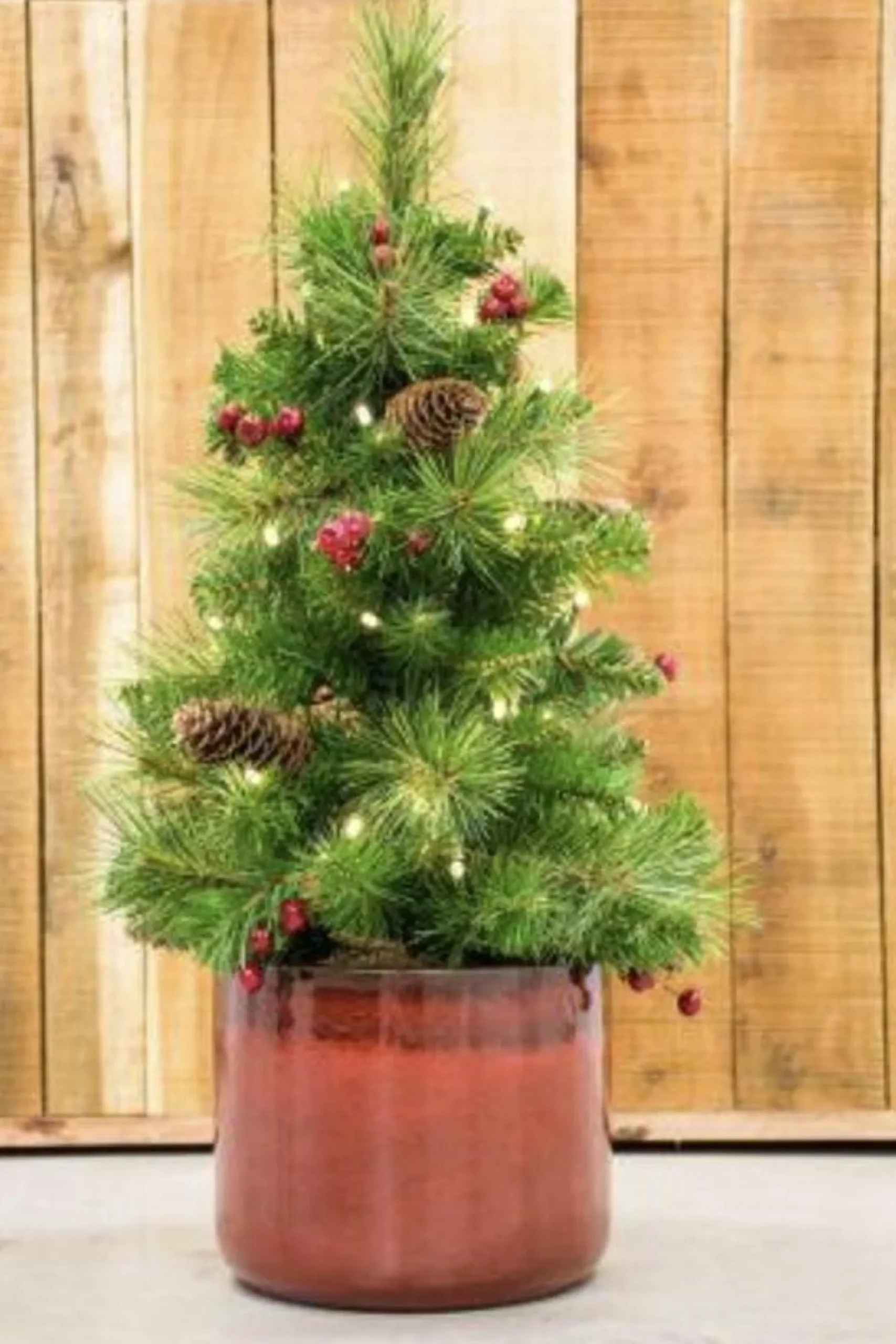 National Tree Company Mini Kunstkerstboom | Miniatuur Kerstboom | H: 61 Cm | Led Verlichting Op Batterijen | Versierd Met Dennenappels | 31Tpc24B Cheap