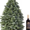 Merkloos Nobilis Kerstboom - 60Cm - Kleine Kerstboom - Handgemaakt - Vers Groen New