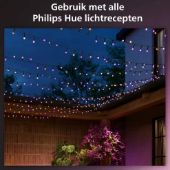 Philips Hue Festavia Lichtsnoer - 20 Meter - 250 Led's Cheap