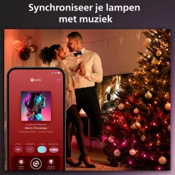 Philips Hue Festavia Lichtsnoer - 40 Meter - 500 Led's Outlet