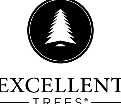 Excellent Trees Premium Kerstboom ® Kalmar 150 Cm - Luxe Uitvoering Fashion