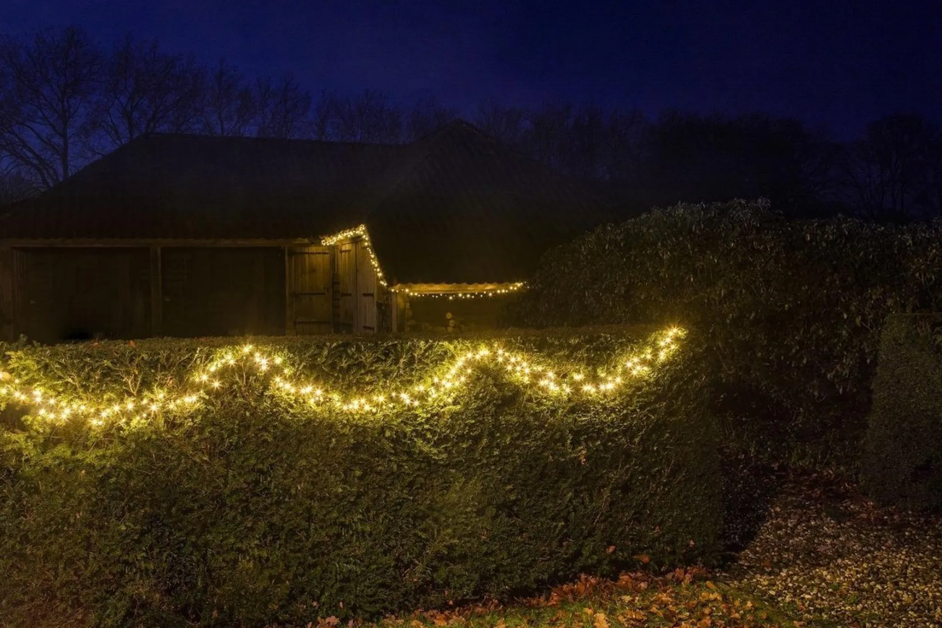 Fairybell Proextend All Season - Cluster Lichtsnoer/Lichtstreng Voor Buiten - Uitbreiding Kit Store
