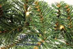 Royal Christmas Guirlandes></noscript> - Guirlande Met 70 Warm Led Lampjes Geintegreerd - Lengte 540 Cm - 400 Takken - Extra Vol