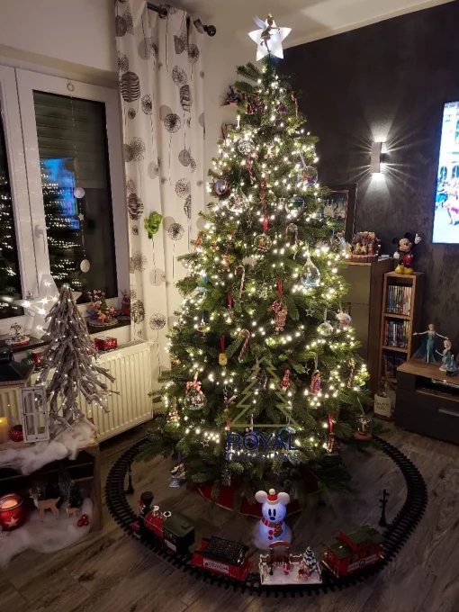 Royal Christmas - Kunstkerstboom - Bogota Pe / Pvc Smart - 400 Led Lampjes - 210 Cm - 1687 Takken - Groen Online