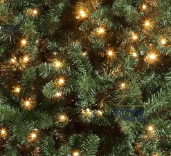 Royal Christmas - Kunstkerstboom - Oregon Deluxe Pvc Met Warm Led - Snel Opgebouwd - Hoogte 180 Cm - 300 Warm Led Lampjes - 794 Takken Online