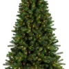 Royal Christmas - Natuurlijke Kunstkerstboom - Bergen Pe / Pvc Premium - Smart 350 Led Lampjes - 210 Cm - Groen 1139 Takken Hot