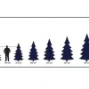Royal Christmas - Smalle Kunstkerstboom - Alaska Premium - Pe/ Pvc - 150 Cm - 499 Takken - Groen Outlet