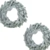 Merkloos Kerstkransen>Set Van 2X Stuks Kerstkransen/Dennenkransen Groen Met Sneeuw 46 Cm - Dennenkransen/Deurkransen Kerstversiering