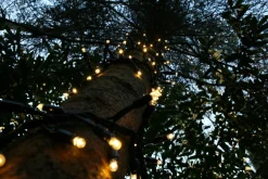 Silver winglinks Silver Wing Links Cluster Verlichting 2M - Zwarte Kabel - Warmwit - Koppelbare Verlichting Store