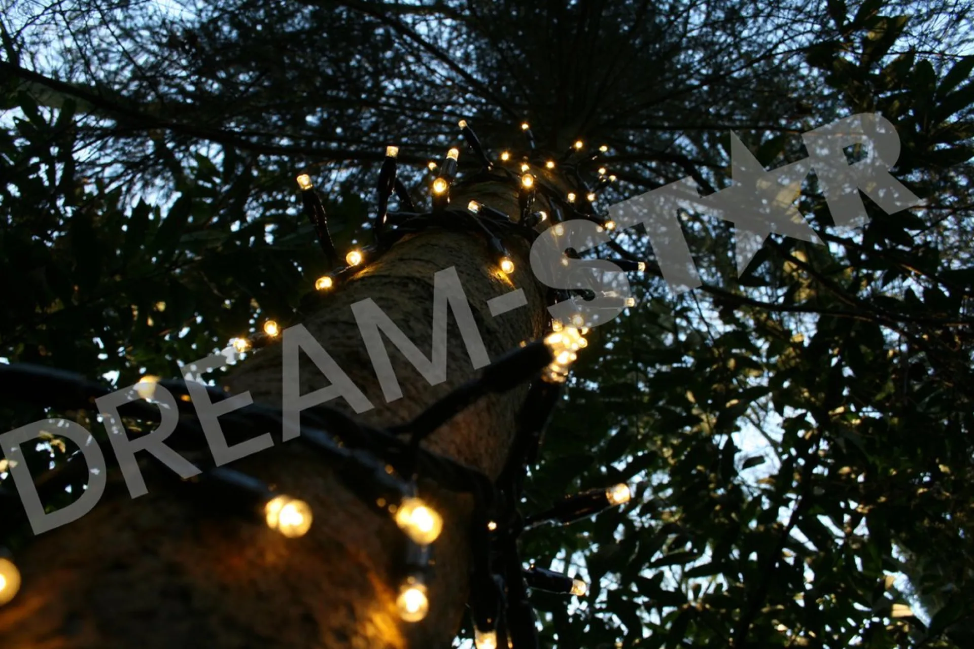 Silver winglinks Silver Wing Links Cluster Verlichting 2M - Zwarte Kabel - Warmwit - Koppelbare Verlichting Store