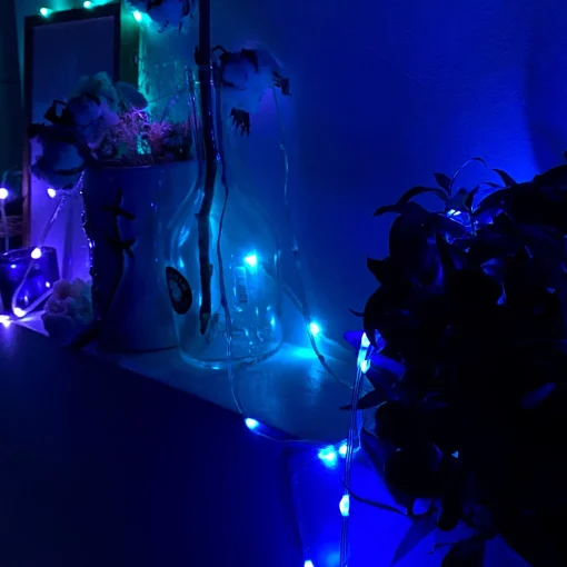 Solistech Slimme Led Lichtsnoer 10 Meter - Rgb - Individuele Lichtpuntjes Instellen - 100 Leds - App Bediening - Ip65 Waterbestendig - Veel Slimme Opties - Usb Plugin - Kerstverlichting - Energiezuining & Duurzaam Online