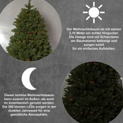 Star Trading Kerstman Fake 2.10M | Kunstkerstboom Met Lichtjes | Kunstkerstbomen | Kunstkerstboom Met Verlichting | Led-Kerstboom Buiten | Led-Kerstboom Outlet