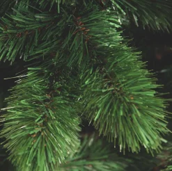 Triumph Tree - Camden Kerstboom Slim Groen Tips 195 - H120Xd69Cm - Kerstbomen (Franse Boom ) Flash Sale