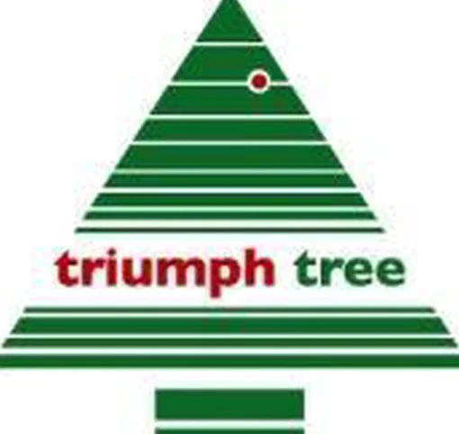 Triumph Tree - Forest Frosted Pine Kerstboom Groen - H305Xd188Cm Outlet
