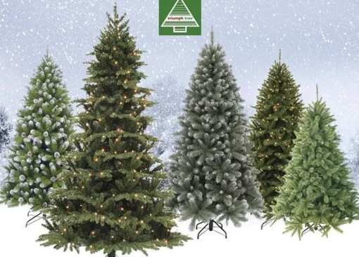 Triumph Tree - Kerstboom Forest Frosted H185D130 Newgrowth Blue Tips 942 Best