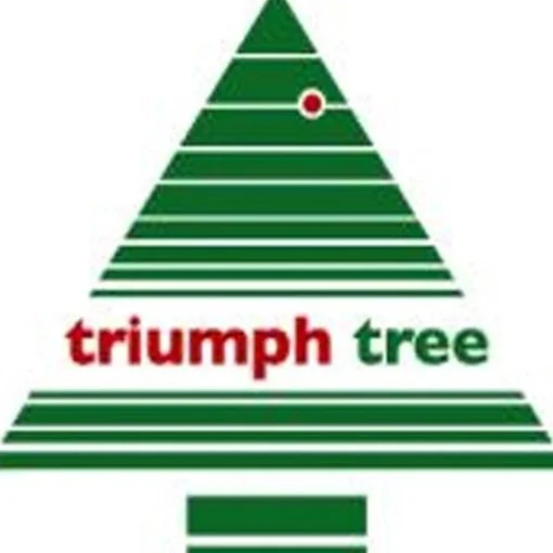 Triumph Tree - Kerstboom Icelandic Irisdescent H185D119 Wit Tips 611 Store