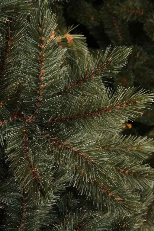 Triumph Tree - Kunstkerstboom - Slim Forest Frosted - Blauw - 155Cm Store