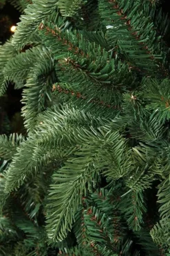 Triumph Tree Guirlandes></noscript> Abies Nordmann Guirlande - L180 Cm - Groen