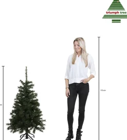 Triumph Tree Forest Frosted Kunstkerstboom - H120 X O99 Cm - Groen Sale