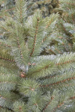Triumph Tree Forest Frosted Kunstkerstboom - H120 X O99 Cm - Groen Sale