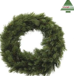 Triumph Tree Kerstkransen></noscript> Forest Frosted Kerstkrans - O60 Cm - Groen