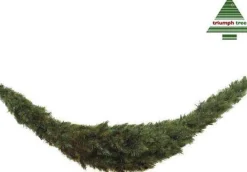 Triumph Tree Guirlandes></noscript> Forest Frosted Guirlande Swag - L180 Cm - Groen