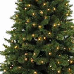 Triumph Tree Kunstkerstboom Forest Frosted Pine - 215 X 140 Cm - 304 Led Warm Wit - Donkergroen Hot
