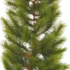 Triumph Tree Guirlandes> Richmond Guirlande - L270 Cm - Groen