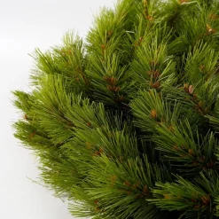 Triumph Tree Kerstkransen></noscript> Richmond Kerstkrans - O60 Cm - Groen