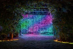 Twinkly Curtain – App-Gestuurde Led Gordijn Lichtsnoer Met 210 Rgb + W (16 Miljoen Kleuren + Warm Wit) Led's. 1,5 X 2,1 Meter. Transparante Draad. Binnen En Buiten Slimme Verlichting Decoratie Sale