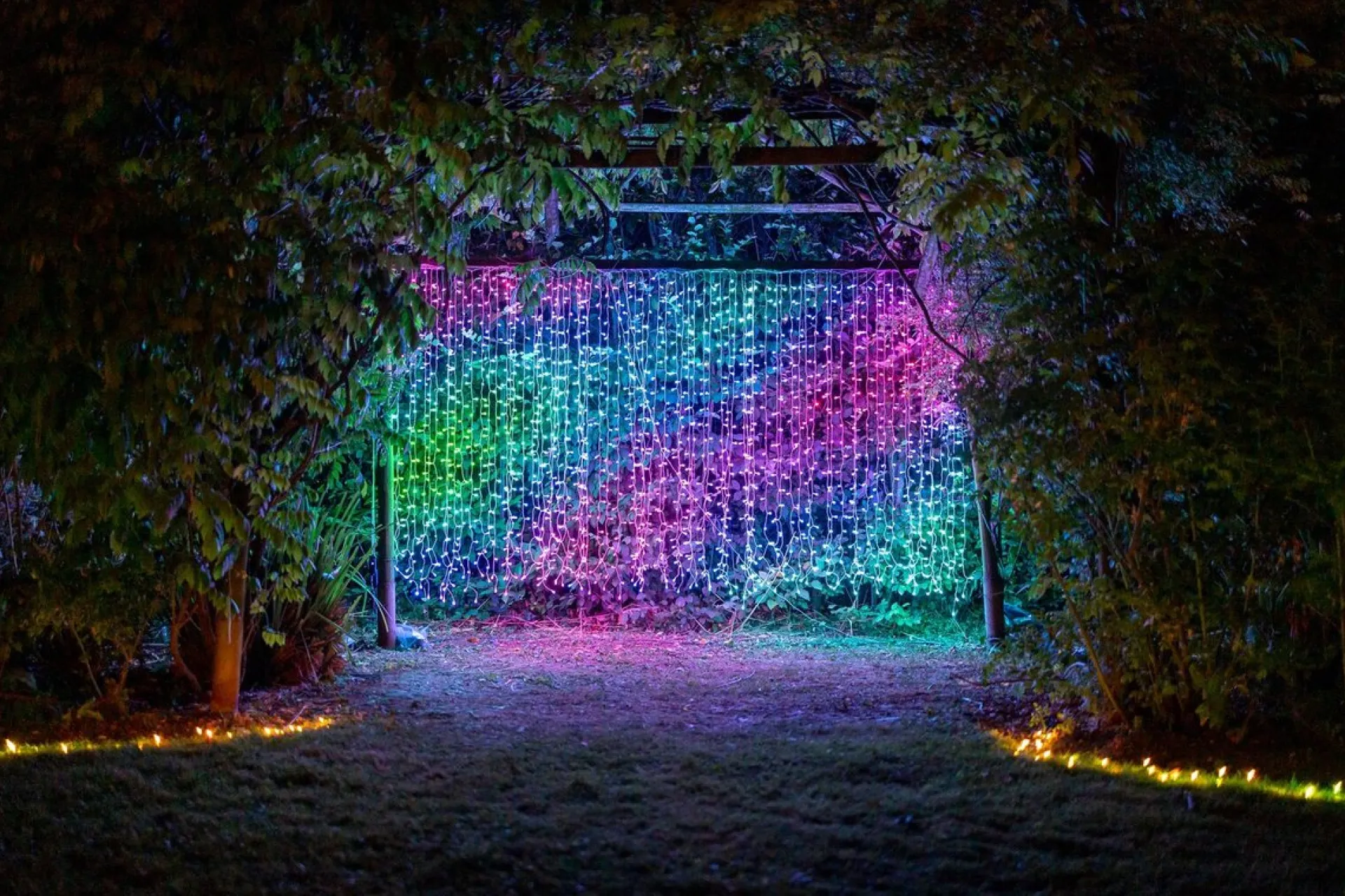 Twinkly Curtain – App-Gestuurde Led Gordijn Lichtsnoer Met 210 Rgb + W (16 Miljoen Kleuren + Warm Wit) Led's. 1,5 X 2,1 Meter. Transparante Draad. Binnen En Buiten Slimme Verlichting Decoratie Sale