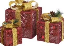 vidaXL Kerstdecoratie Geschenkdozen 3 St Binnen/Buiten Rood New