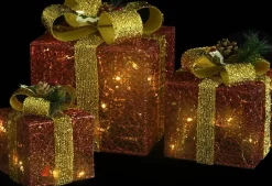 vidaXL Kerstdecoratie Geschenkdozen 3 St Binnen/Buiten Rood New