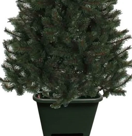Merkloos Vierkante Groene Kerstboom Standaard Voor Een Japanse Zilverspar Kerstboom - Kerstboomstandaards Discount