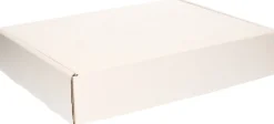 Bellatio Decorations 3X Kerstballen Opbergen Opbergboxen Voor Kerstballen Van 8 Cm - Opbergdozen/Sorteerdozen - Met 20X 8 Cm Vakken - 2 Stuks Clearance