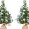 Mica Decorations 2X Mini Kunst Kerstboom Met 10 Led Lampjes En Sneeuw 45 Cm - Mini Kerstboompjes Best Sale