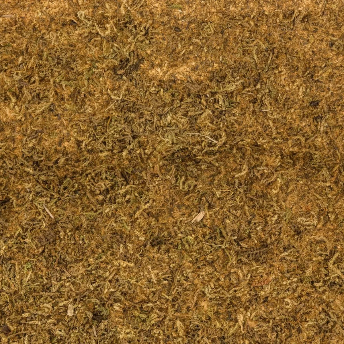 Merkloos Kerststallen>2X Stuks Decoratie Achtergronden Zand/Woestijn Voor Een Kerststal 50 X 70 Cm